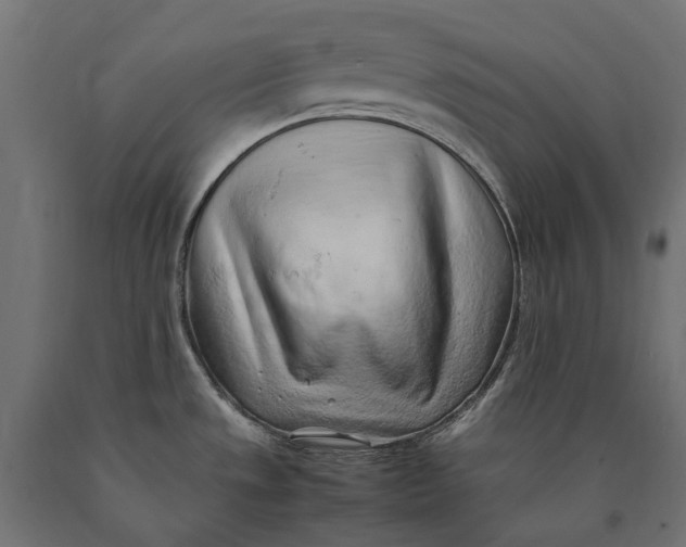 X0000090431533200708031118