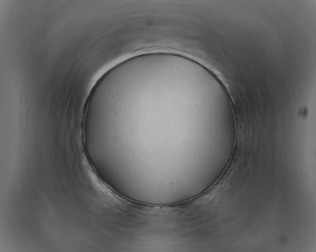 X0000090431534200708031118