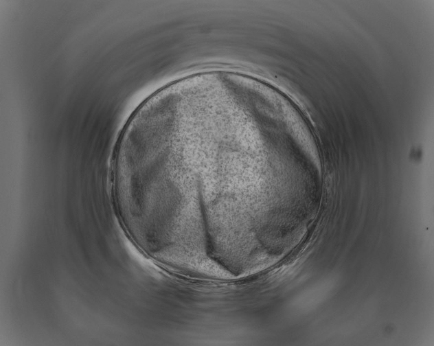 X0000090431535200708031118