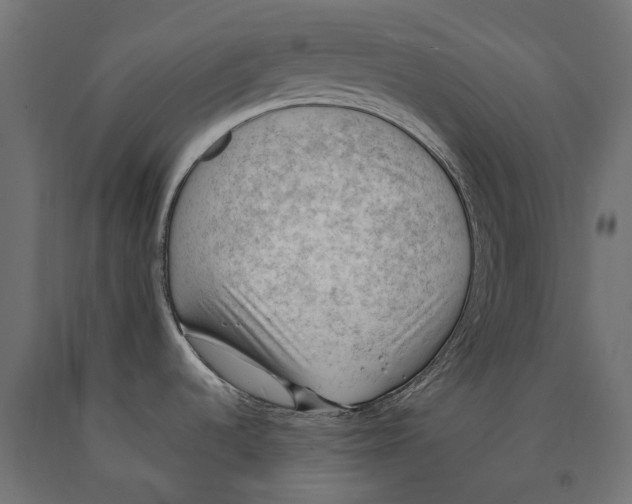 X0000090431536200708031118