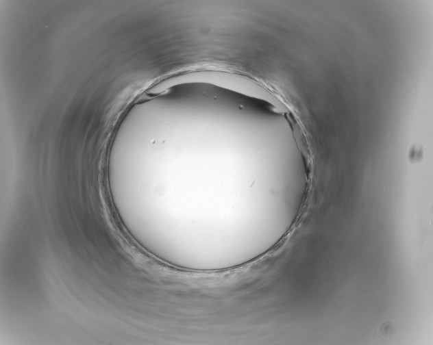 X0000090430001200708102015