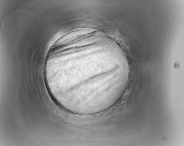 X0000090430003200708102015