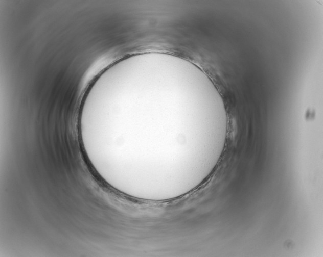 X0000090430004200708102015