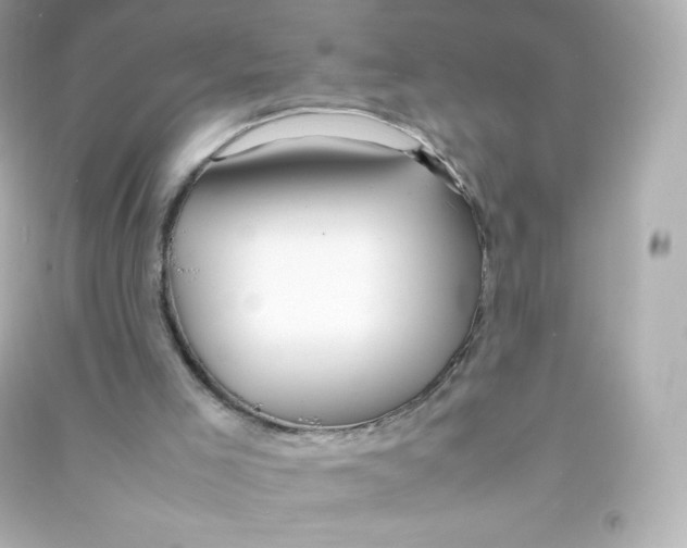 X0000090430005200708102015