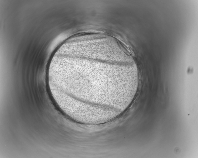 X0000090430006200708102015