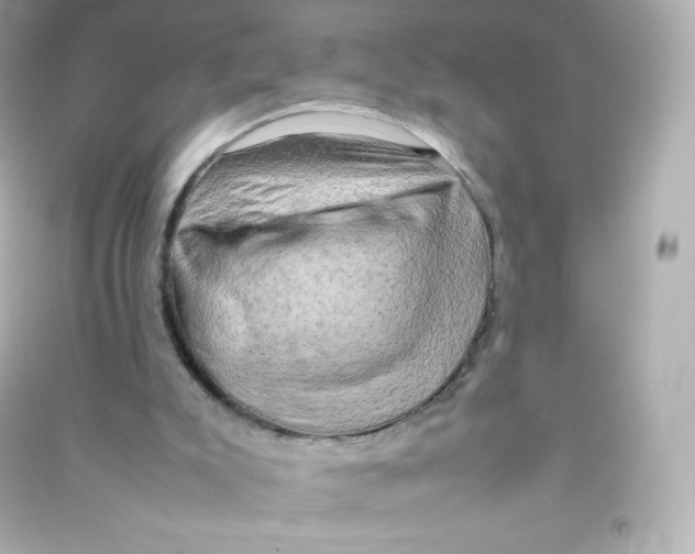 X0000090430007200708102015