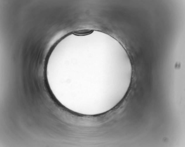 X0000090430008200708102015