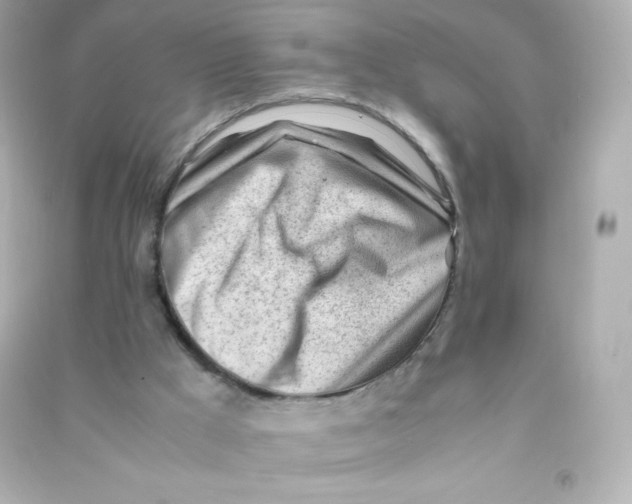 X0000090430009200708102015