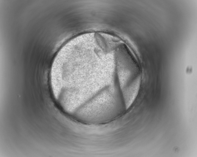 X0000090430010200708102015