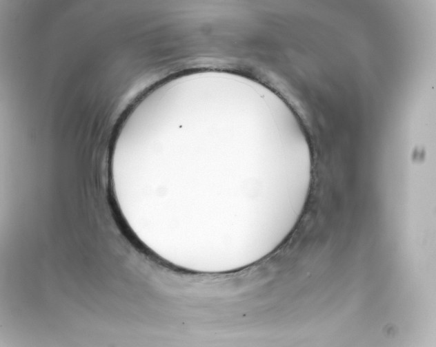 X0000090430011200708102015