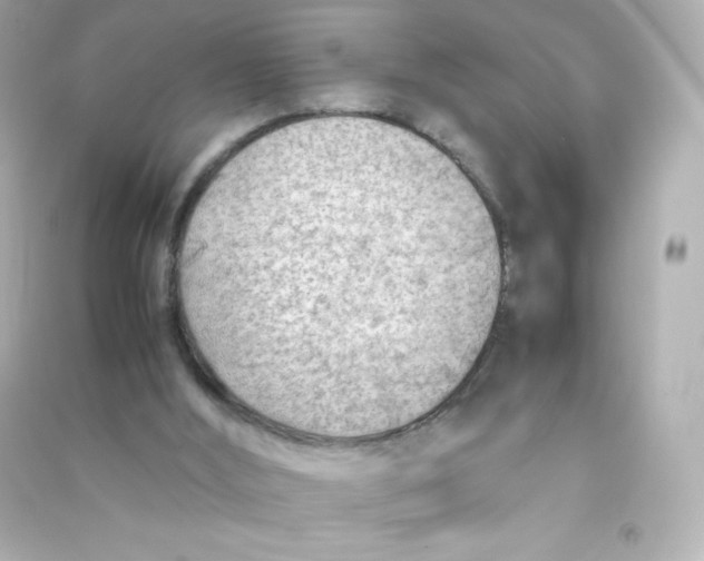 X0000090430012200708102015