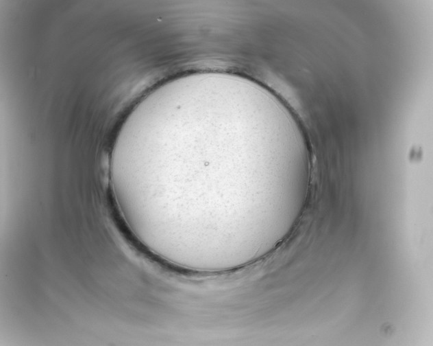 X0000090430013200708102015