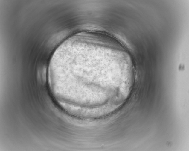 X0000090430014200708102015