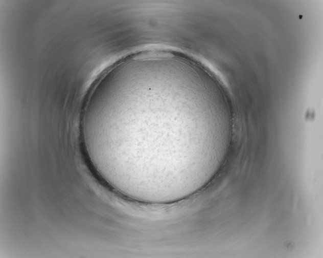 X0000090430015200708102015