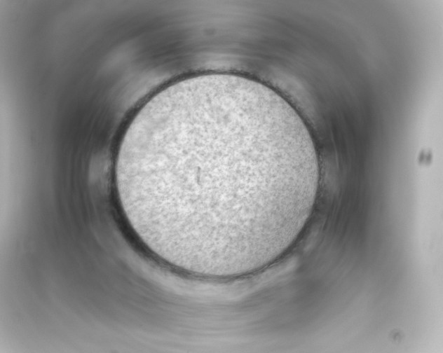 X0000090430016200708102015