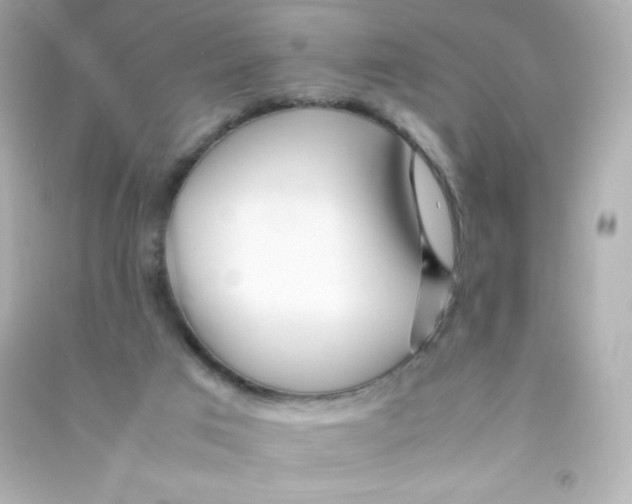 X0000090430017200708102015