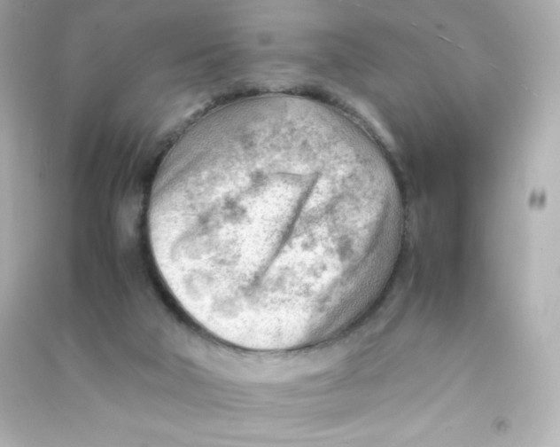 X0000090430018200708102015