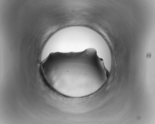 X0000090430019200708102015