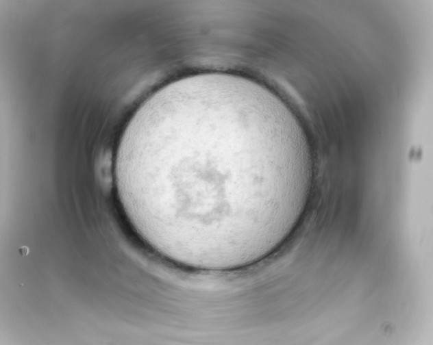 X0000090430020200708102015