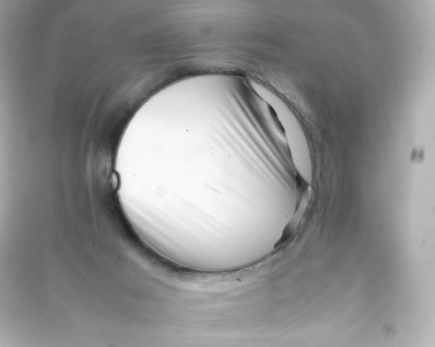 X0000090430021200708102015