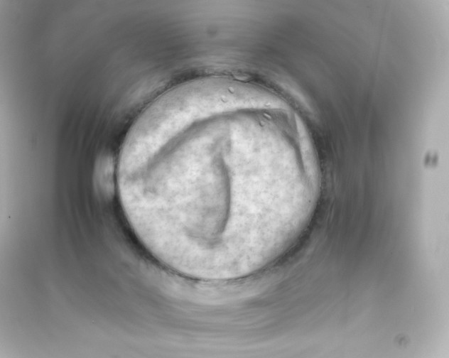 X0000090430022200708102015