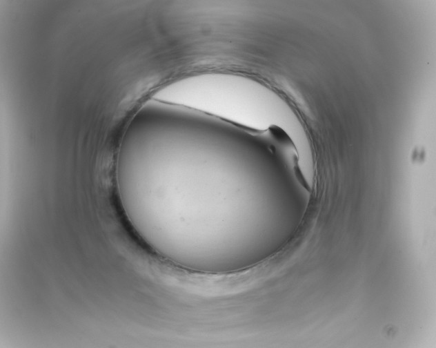X0000090430023200708102015