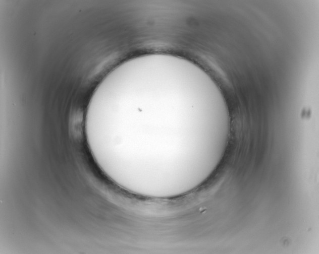 X0000090430024200708102015
