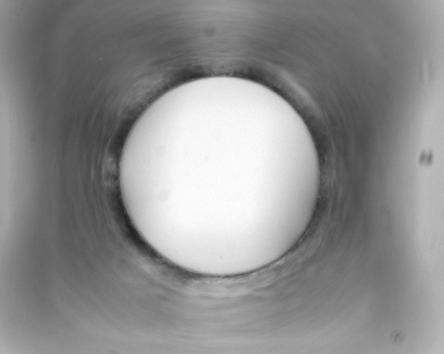 X0000090430025200708102015