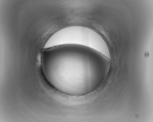 X0000090430027200708102015