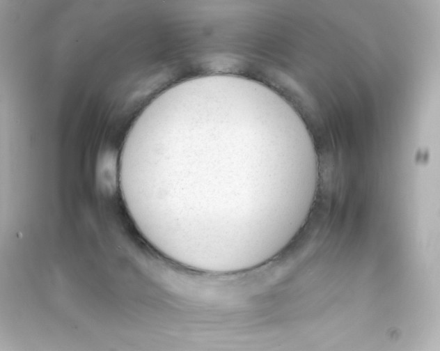 X0000090430028200708102015
