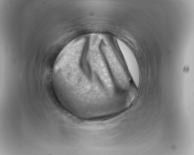 X0000090430029200708102015