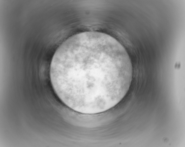 X0000090430030200708102015