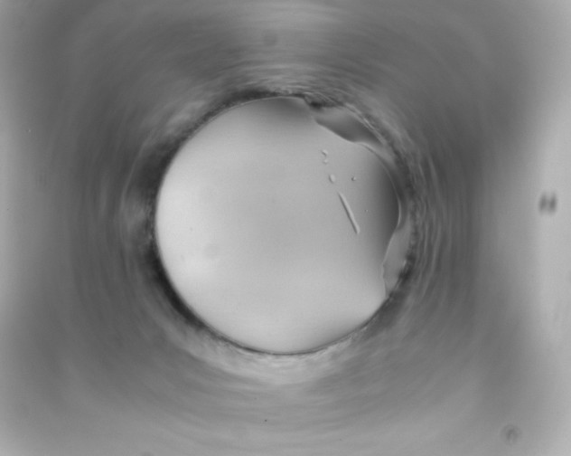 X0000090430031200708102015