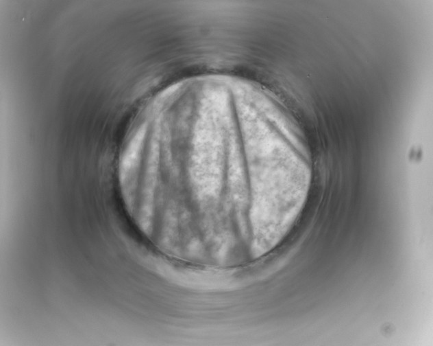 X0000090430032200708102015