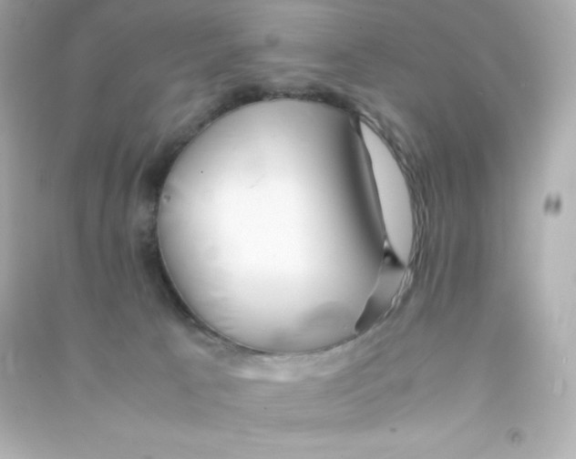 X0000090430033200708102015