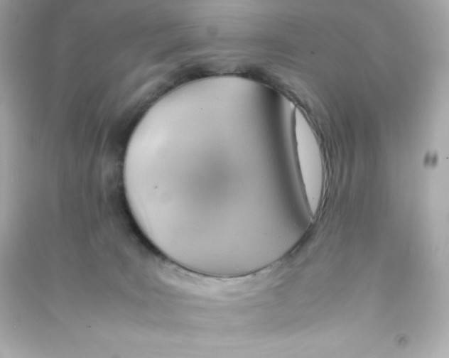 X0000090430035200708102015
