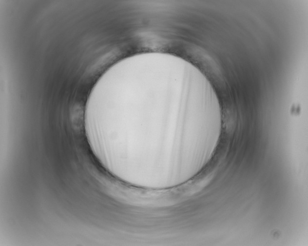 X0000090430036200708102015