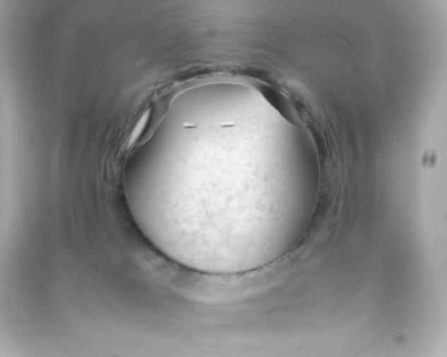 X0000090430037200708102015