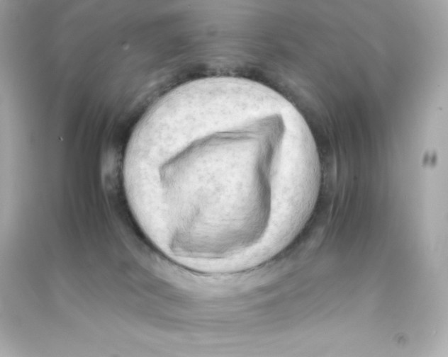 X0000090430038200708102015
