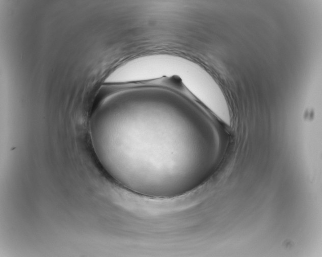 X0000090430039200708102015