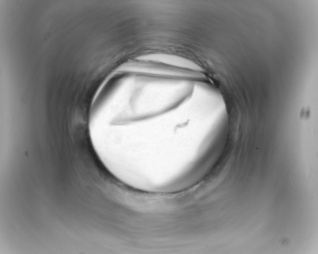 X0000090430040200708102015