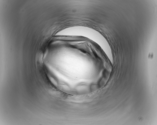 X0000090430041200708102015
