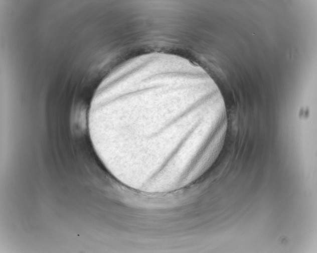 X0000090430042200708102015