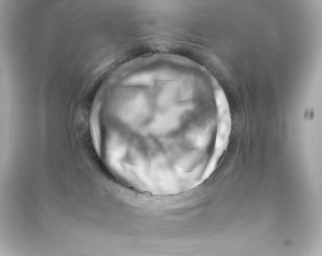 X0000090430043200708102015