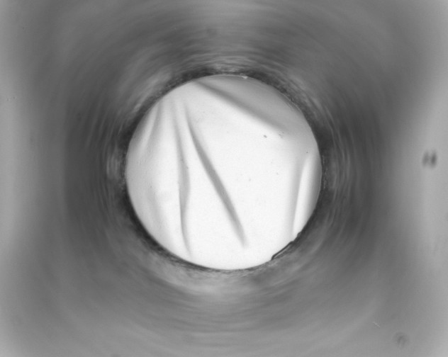 X0000090430044200708102015