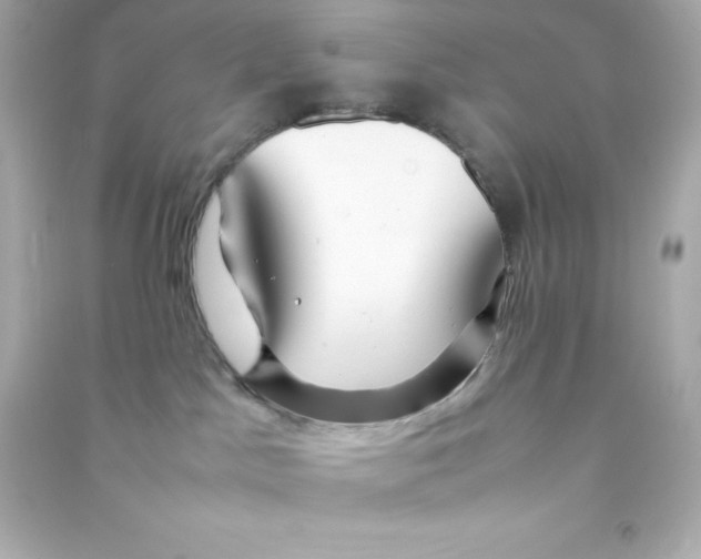 X0000090430045200708102014