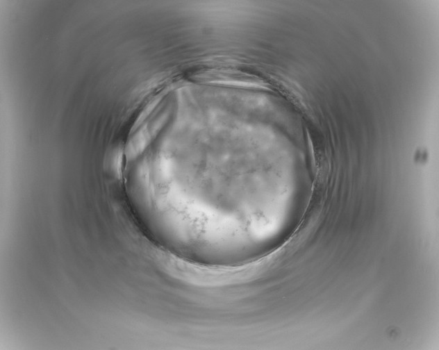 X0000090430047200708102014