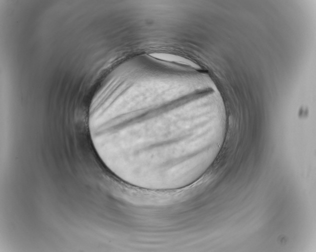 X0000090430048200708102014
