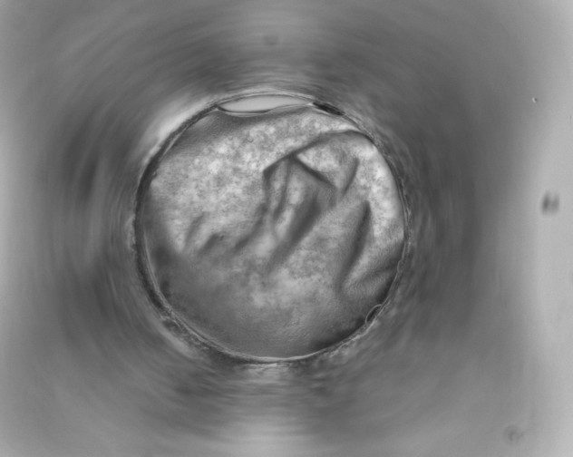 X0000090430050200708102014