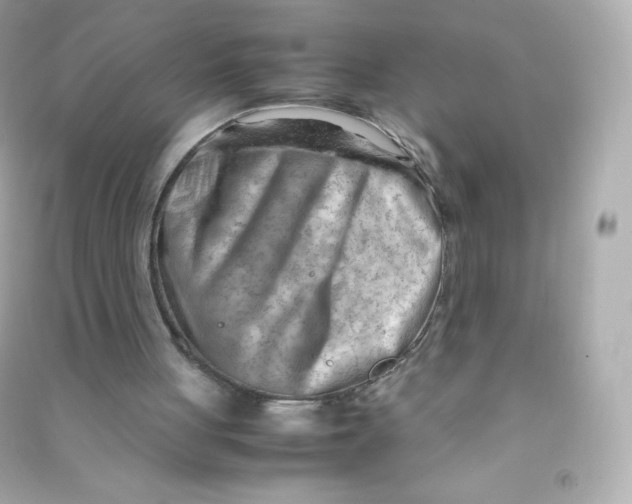 X0000090430051200708102014